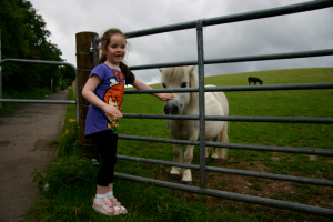 Girl patting pony behind gate